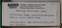 Image Associated With the Occurence